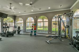 Fitness center with tv, lifting machine, large windows free weights, cycle, rowing, weights/balls, and stair step machineh Fitness Center with many options of equipment