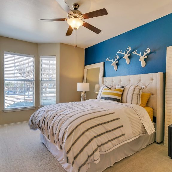 Bedroom with 3 windows and painted accent wall