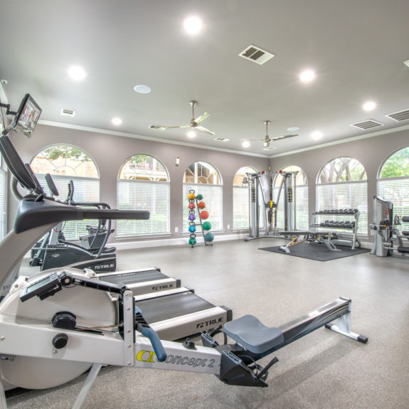 Fitness area with treadmills, free weights and more.